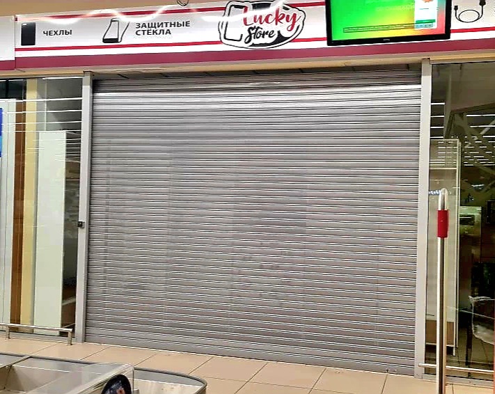 Роллетные ворота DoorHan в Воронеже с установкой