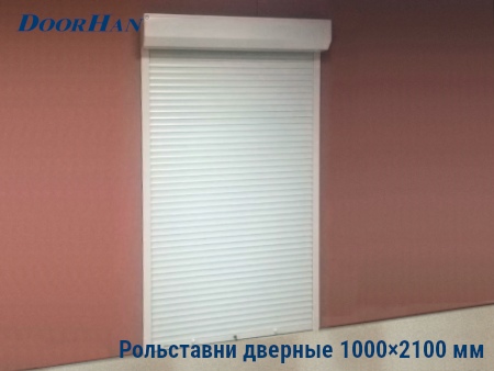 Рольставни на двери 1000×2100 мм в Воронеже от 25582 руб.