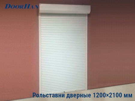 Рольставни на двери 1200×2100 мм в Воронеже от 28179 руб.