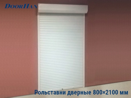 Рольставни на двери 800×2100 мм в Воронеже от 22985 руб.